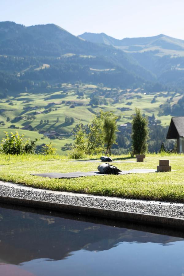 Lenk Lodge - Boutique & Design Hotel Und Apartements 外观 照片